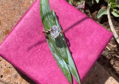 William Greene Jewelry Design - Twist Diamond Ring - Ring with leaves, plants and pink box